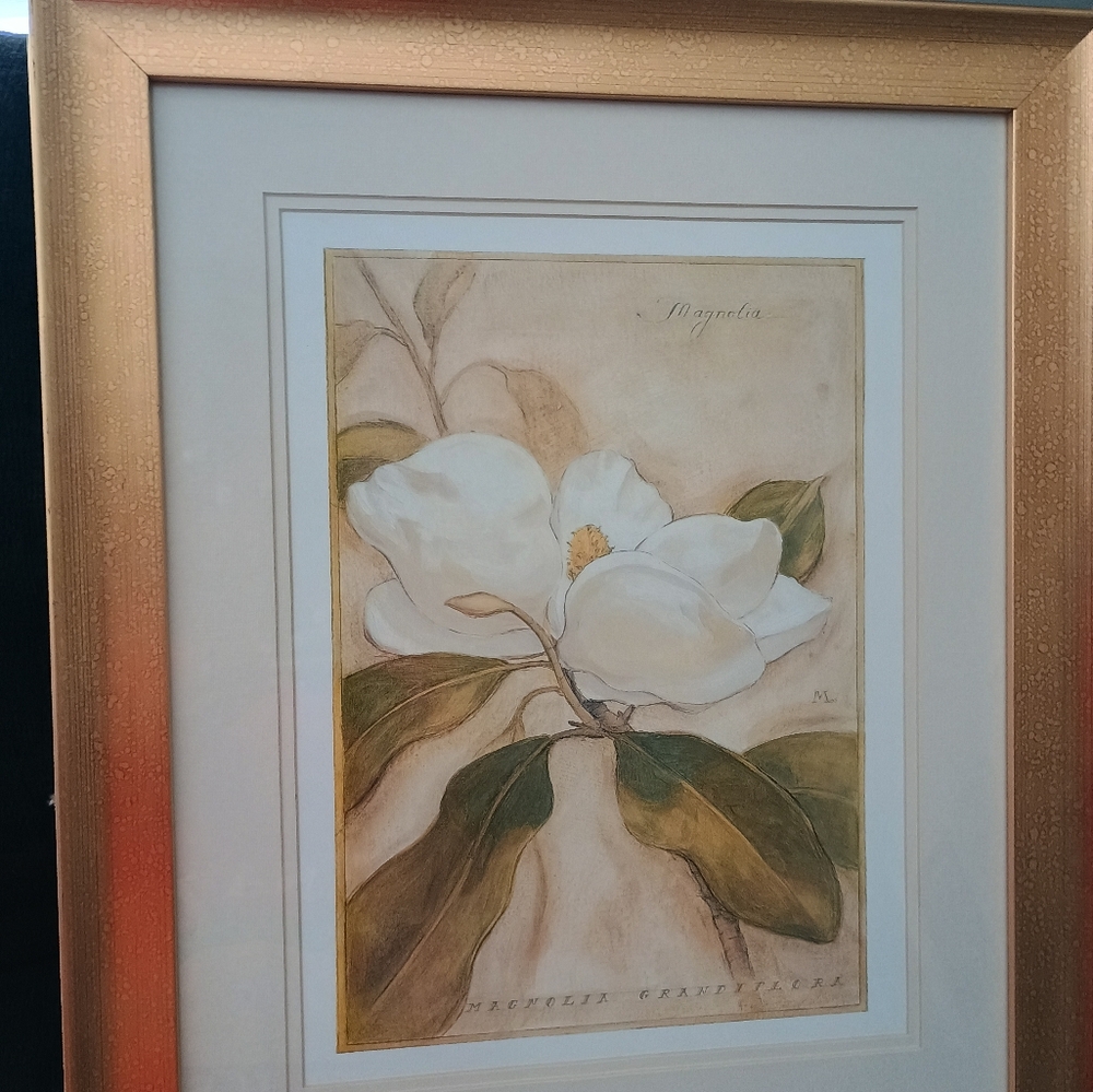 Gold Framed Magnolia Art Print